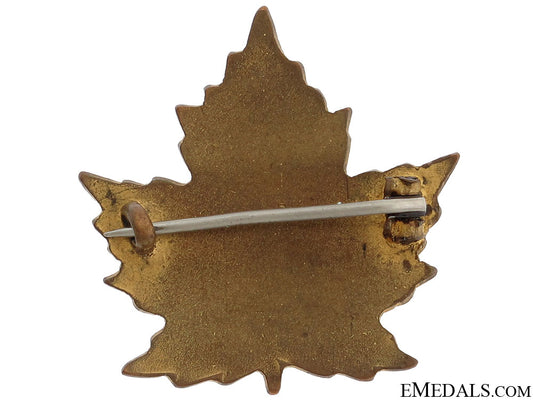 wwi11_th_canadian_field_ambulance_pin_cef_26.jpg51c9d1c2c1110