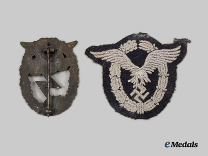 germany,_luftwaffe._a_pair_of_service_badges__a_i1_9257