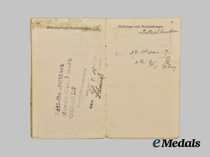 germany,_weimar_republic._a_lot_of_freikorps_paper_items_and_insignia___m_n_c3552