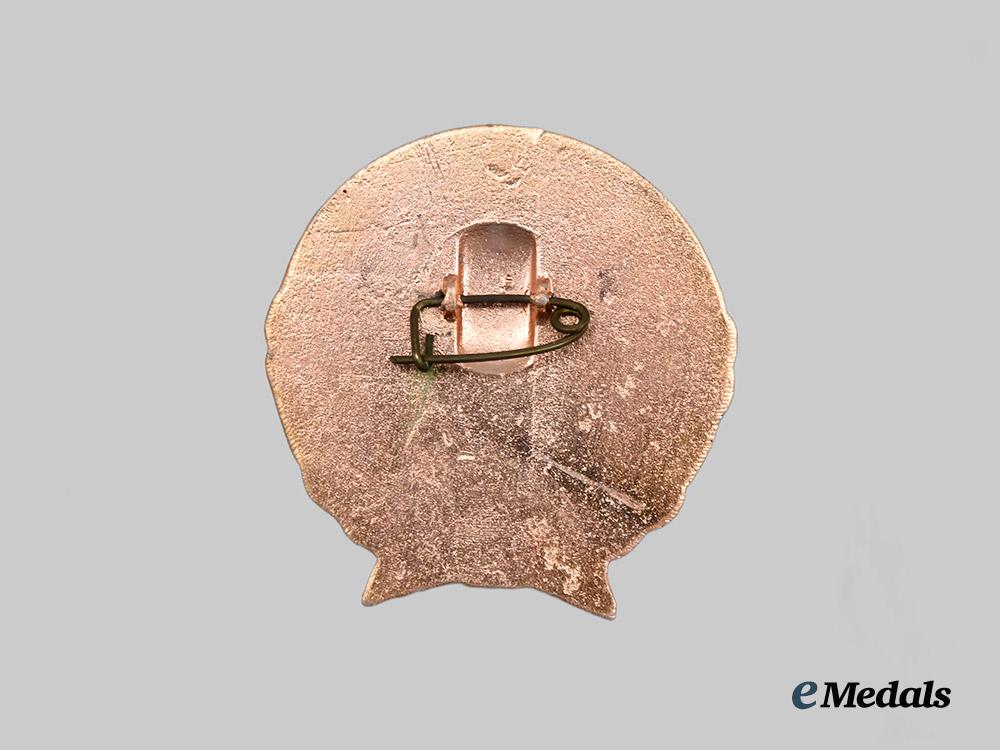 vietnam,_democratic_republic(_north_vietnam)._a_ho_chi_minh_badge,_awarded_for_shooting_down_an_american_plane,_c.1965___m_n_c4298