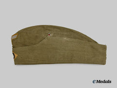 Germany, Heer. An EM/NCO’s M35 Tropical Field Cap, by Clemens Wagner