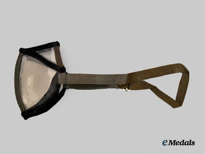 germany,_wehrmacht._a_lot_of_mint_and_unissued_dust_goggles___m_n_c5250