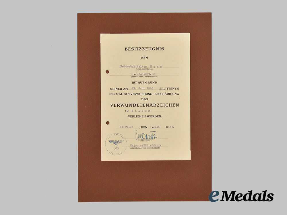 germany,_heer._a_lot_of_award_documents_and_photographs_to_feldwebel_walter_haas,_german_cross_in_gold_recipient___m_n_c7813