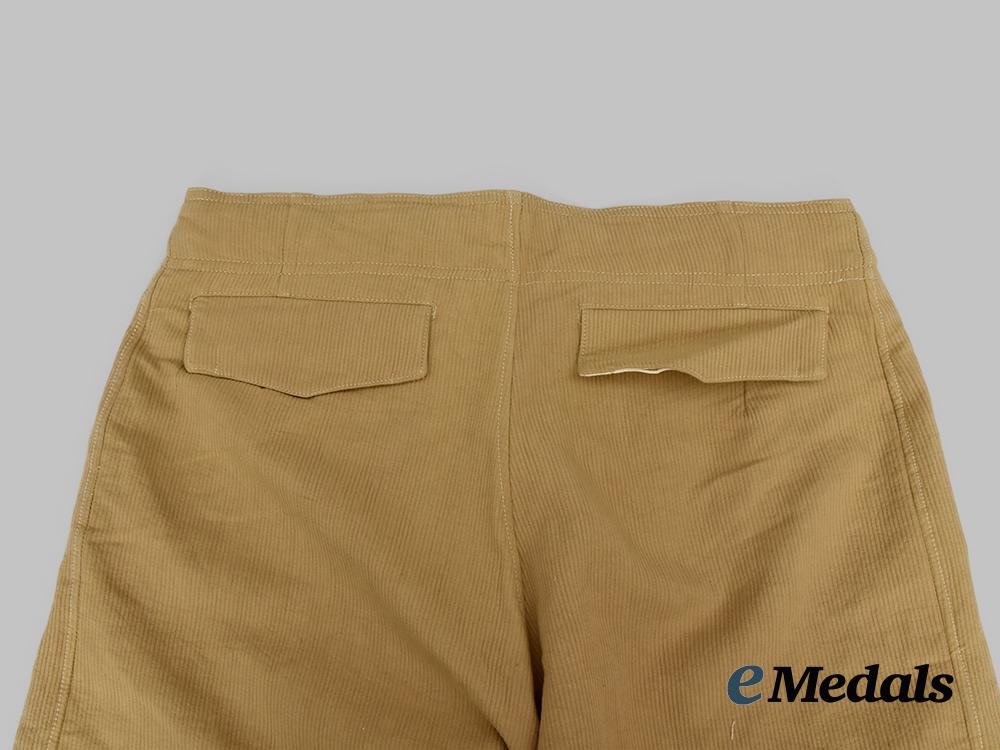 germany,_luftwaffe._a_pair_of_unissued_tropical_luftwaffe_field_service_trousers_for_enlisted_men___m_n_c8482