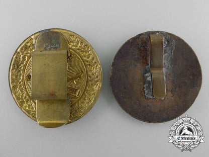 two_austrian_badges_a_0744