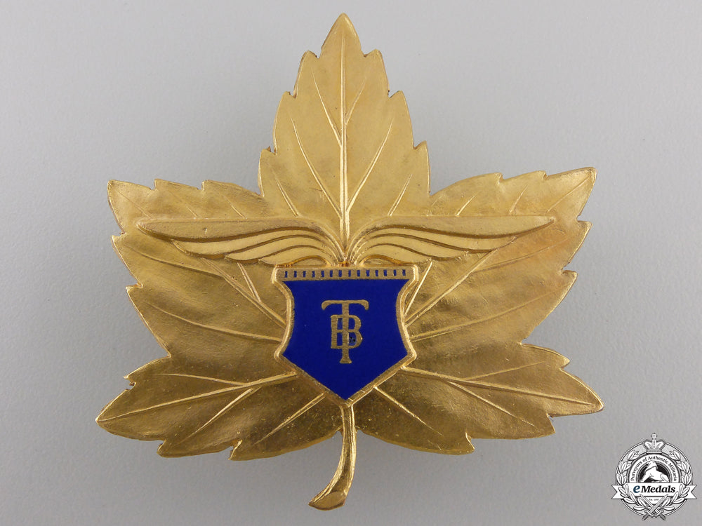 a1943_canadian_elementary_flying_school_badge_a_1943_canadian__554a2f4268136