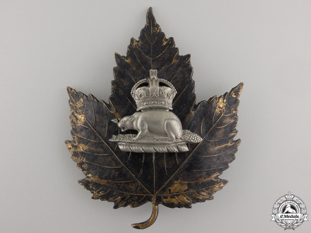 a_king's_crown_canadian_police(_bobby_helmet)_beaver_badge_a_king_s_crown_c_558ea60a58975