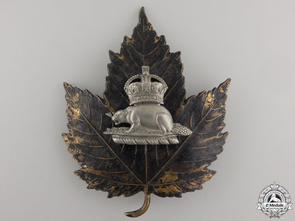 a_king's_crown_canadian_police(_bobby_helmet)_beaver_badge_a_king_s_crown_c_558ea60a58975