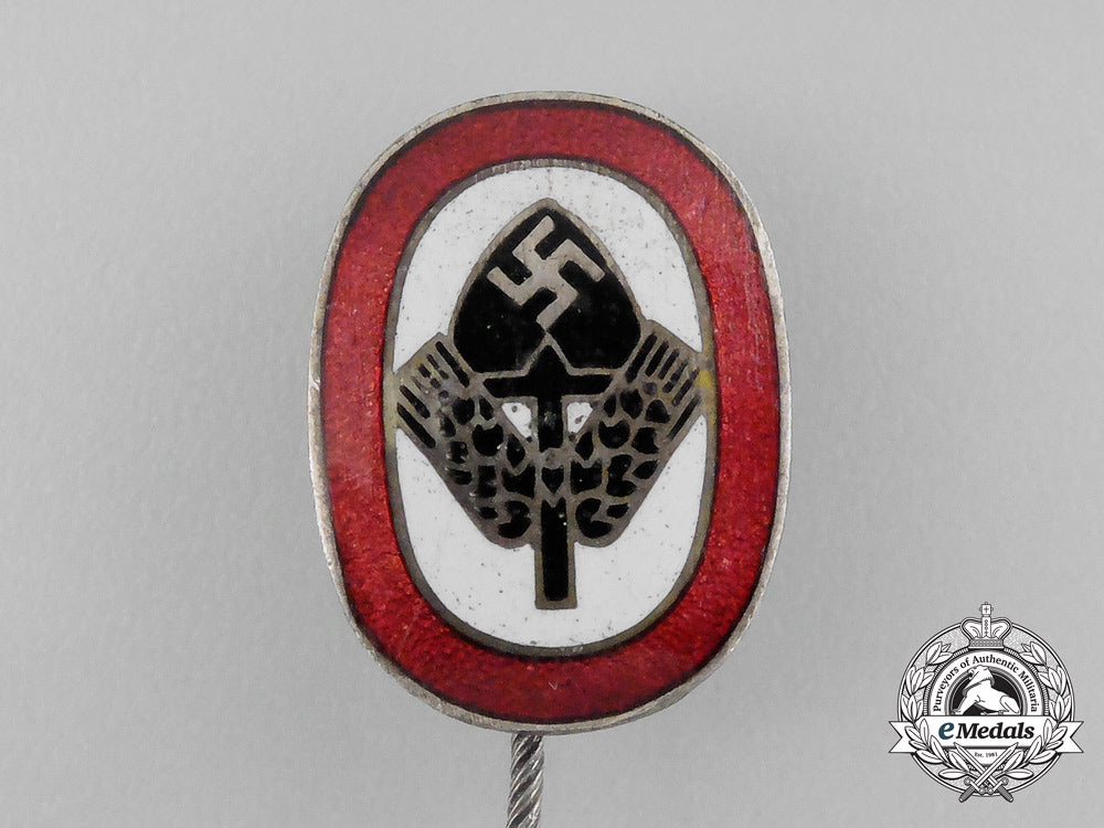 a_third_reich_period(_national_labour_service)_membership_stick_pin_bb_1244