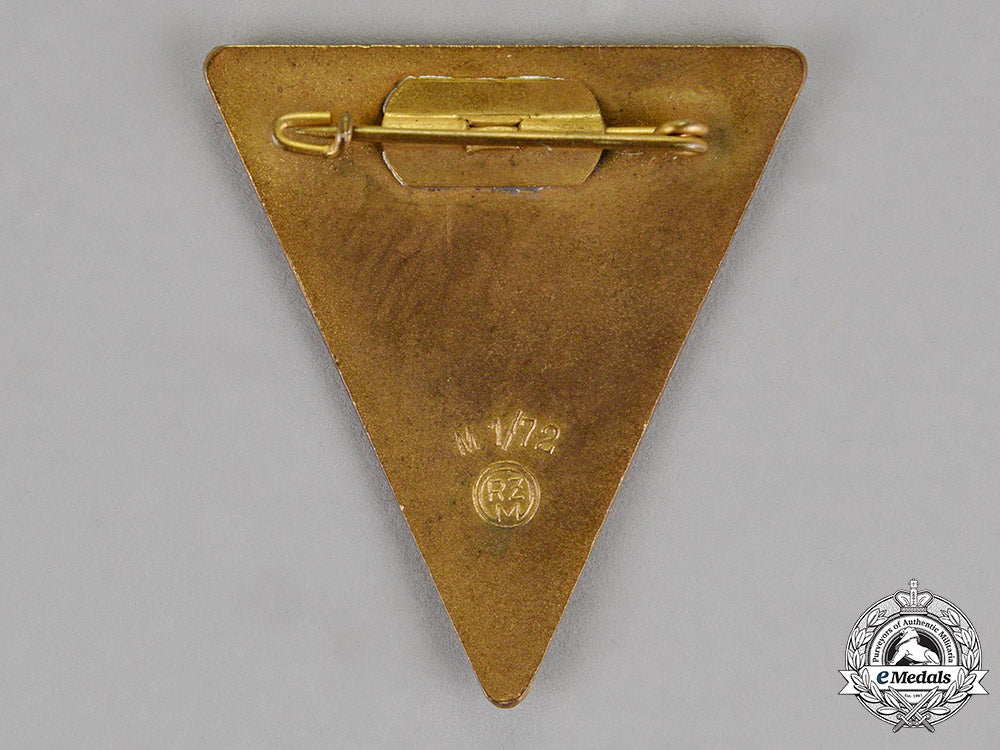 germany._a_german_n.s._frauenschaft_badge_c18-015193