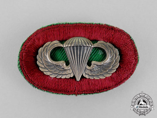 united_states._a_medical_parachutist_badge_c18-0598