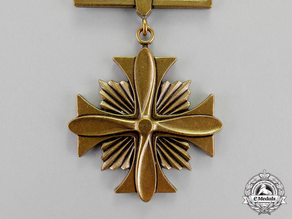 united_states._a_distinguished_flying_cross_c18-070