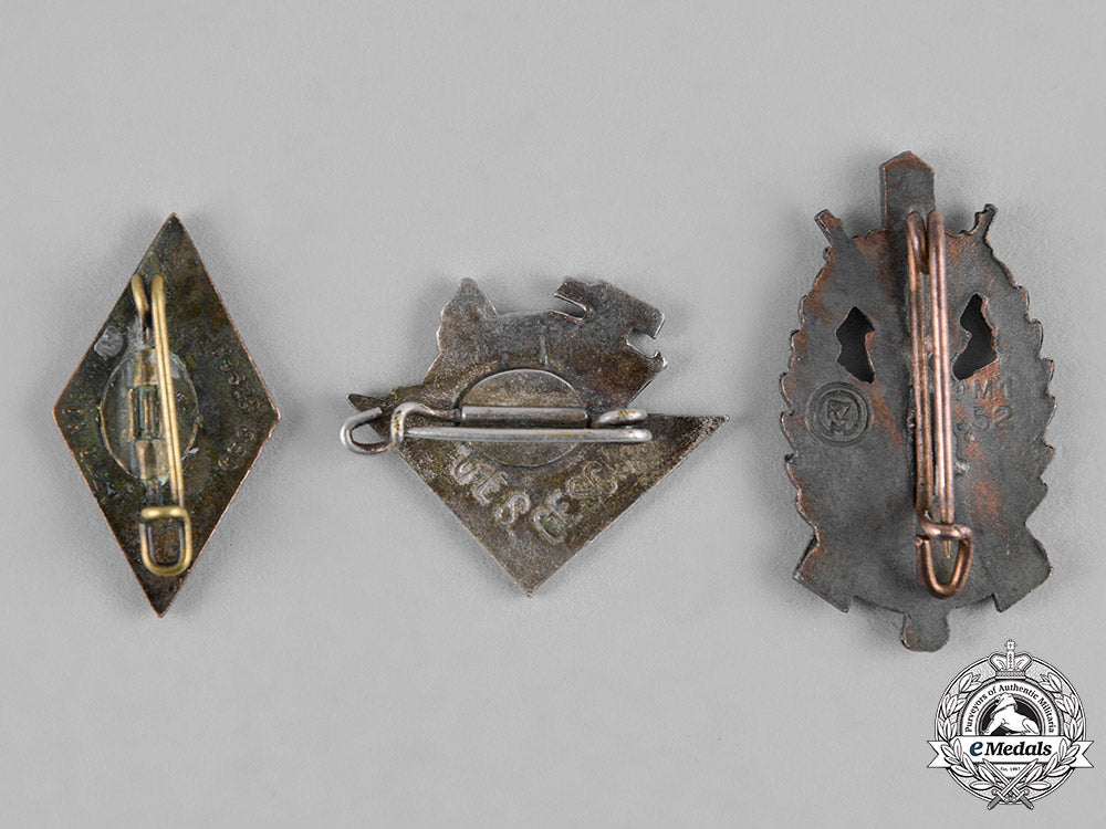 germany,_third_reich._a_lot_of_third_reich_period_badges_c19-0773