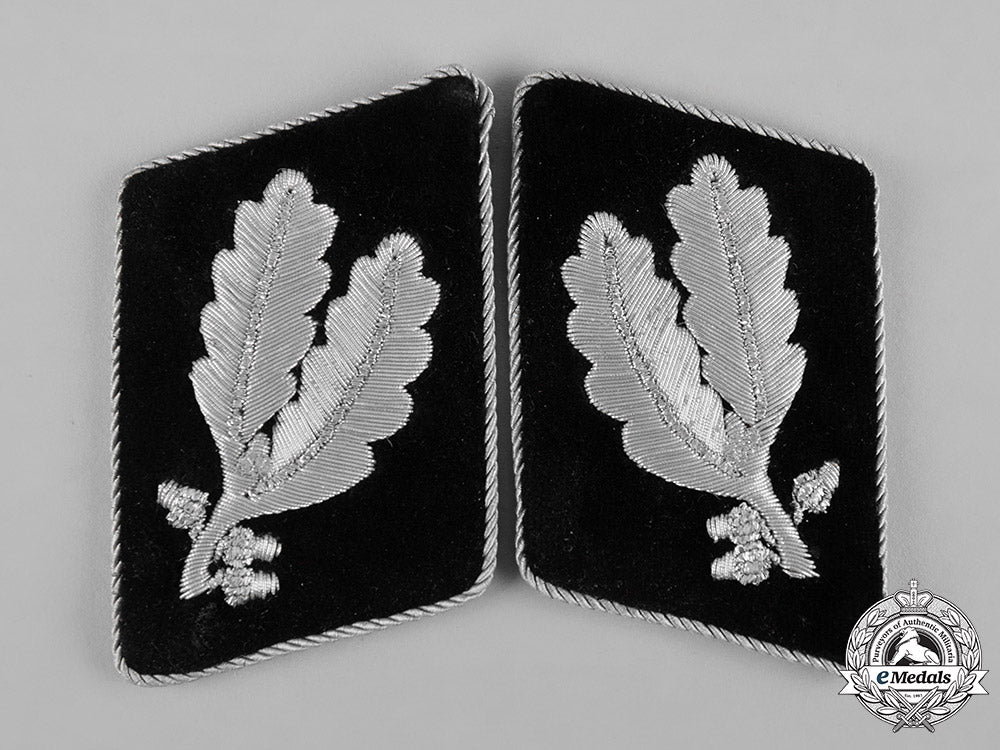 germany,_ss._a_set_of_waffen-_ss_oberführer_collar_tabs_c19-1381_1_1_1