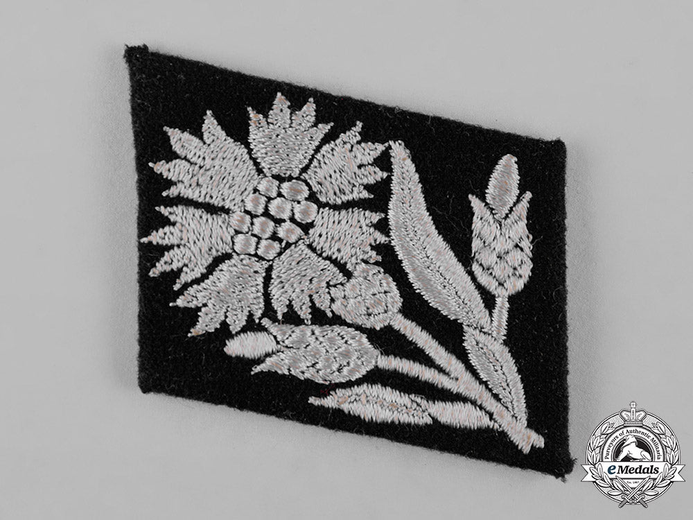 germany,_ss._a22_nd_ss_volunteer_cavalry_division_maria_theresa_collar_tab_c19_0628