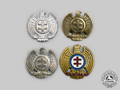 slovakia,_i_republic._a_lot_of_hlinka_youth_cap_badges_c2020_089_mnc1351