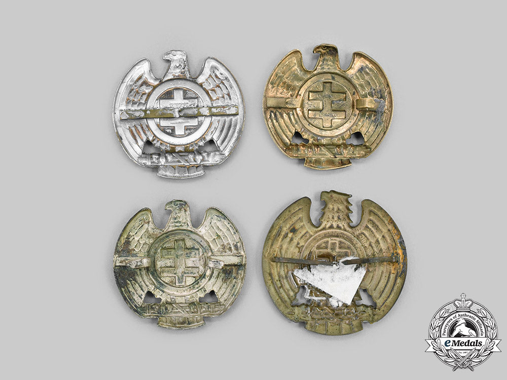 slovakia,_i_republic._a_lot_of_hlinka_youth_cap_badges_c2020_090_mnc1352