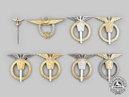 czechoslovakia,_socialist_republic._lot_of_eight_czechoslovak_air_force_badges_c2020_584_mnc9236