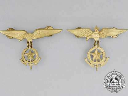 two_paraguayan_air_force(_fap)_pilot_badges_cc_1550