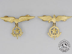 Two Paraguayan Air Force (Fap) Pilot Badges