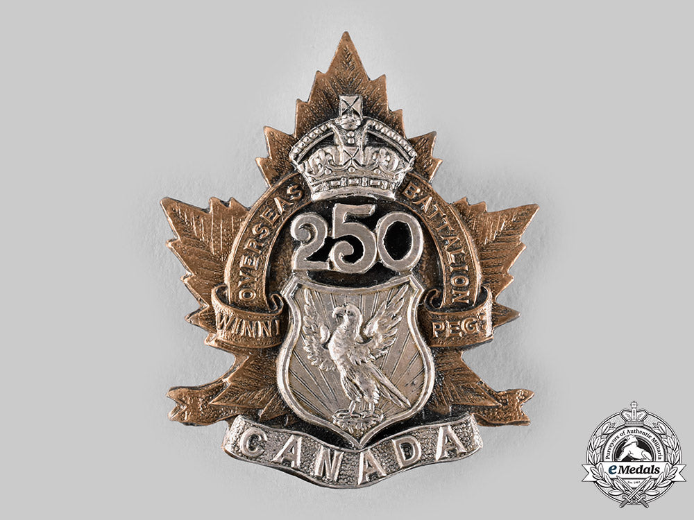 canada,_cef._a250_th_infantry_battalion"_white_eagles"_officer's_cap_badge,_by_dingwall,_c.1917_ci19_6463