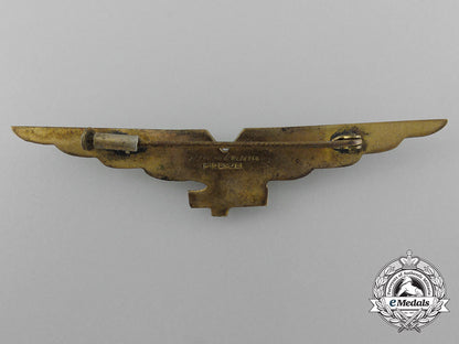 a_second_war_italian_pilot's_badge_d_0662_1