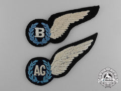 Two Royal Australian Air Force (Raaf) Wings