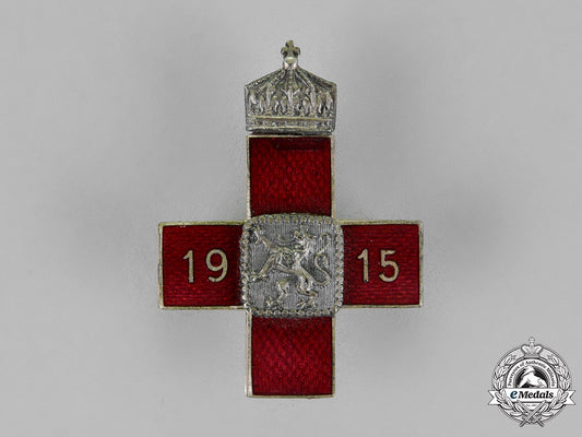 austria,_empire._a1915_red_cross_pin_dsc_2410_1