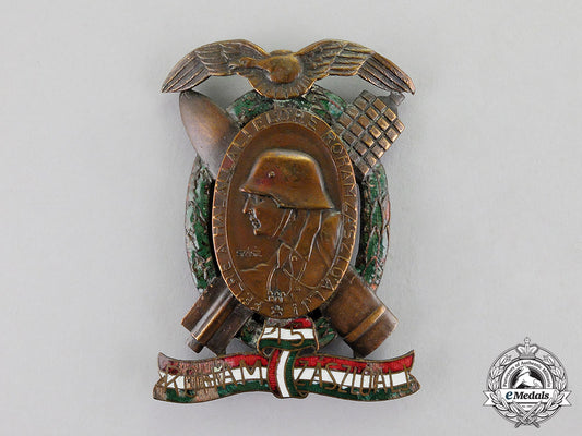 austria-_hungary._an_imperial_first_war_period_austrian/_hungarian_regimental_badge_dscf6361