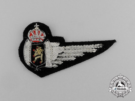 a_post-_war_belgian_air_force_navigator_wing_e_6798