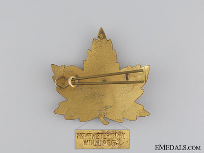 a_second_war_elementary_flying_school_cap_badge_img_02.jpg542b153e4ffb3