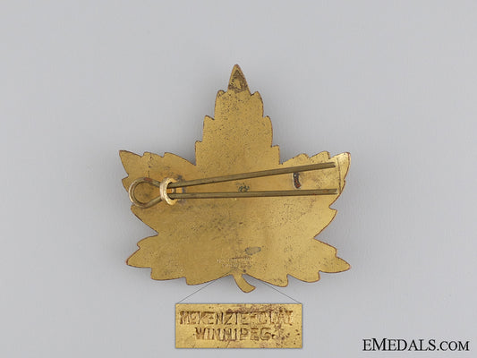 a_second_war_elementary_flying_school_cap_badge_img_02.jpg542b153e4ffb3