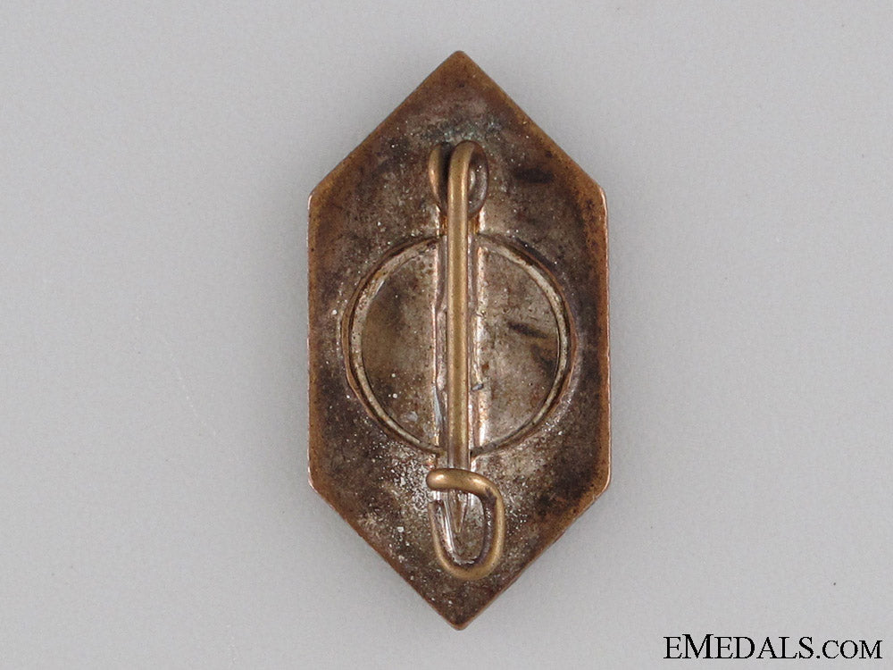 Germanic Peoples In Foreign Countries Badge – eMedals