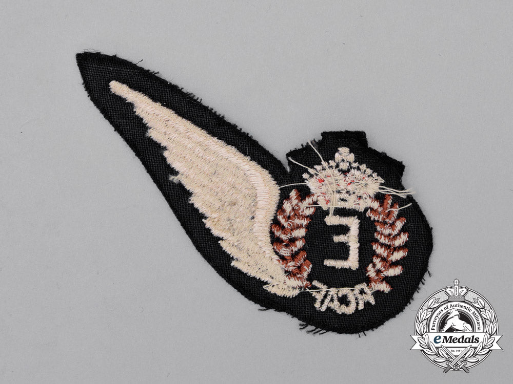 a_second_war_royal_canadian_air_force(_rcaf)_engineer(_e)_wing_j_254_1