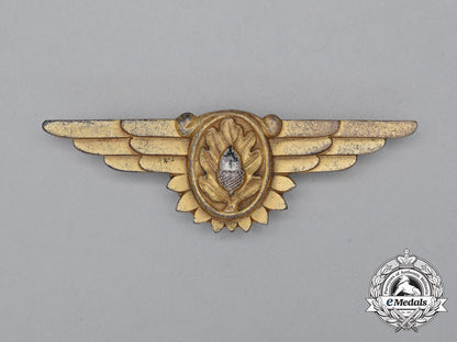 a_second_war_united_states_navy(_usn)_flight_surgeon_badge_j_260_1