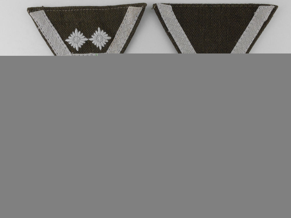 three_reich_labour_service_rad_rank_insignia_k_907