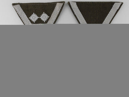 three_reich_labour_service_rad_rank_insignia_k_907