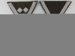 Three Reich Labour Service Rad Rank Insignia