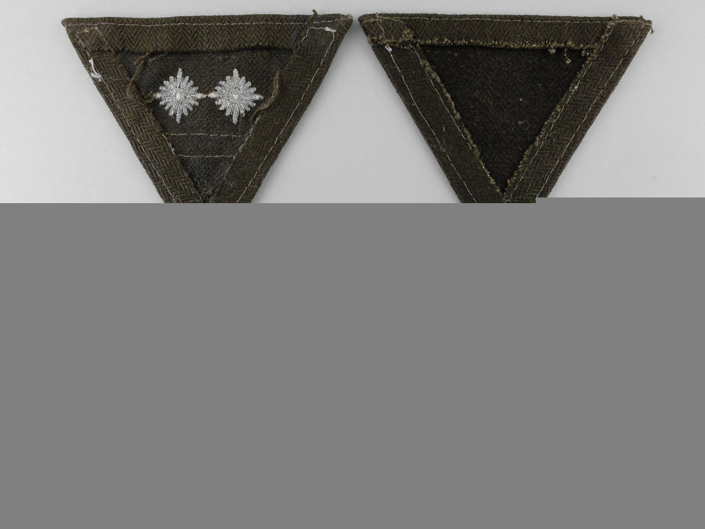 three_reich_labour_service_rad_rank_insignia_k_908