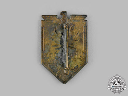 germany,_hj._a1933_youth_festival_event_badge_m19_15398