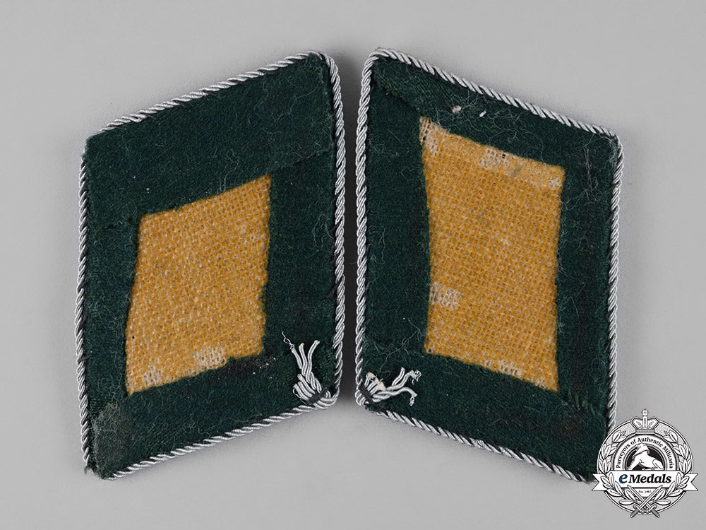 germany,_reich_forstdienst._a_set_of_reich_forest_service_state-_level_landforstmeister_collar_tabs_m19_7045